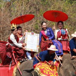 งานจดทะเบียนสมรสบนหลังช้าง ประจำปี 2568